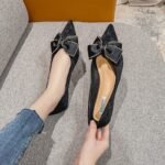 2026 New Spring Shoes, Pointed Toe Flats - Image 4